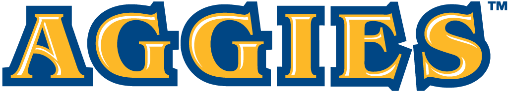 North Carolina A&T Aggies 2006-Pres Wordmark Logo iron on transfers for T-shirts